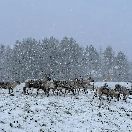 Modern Family Escape- Like Local Villa